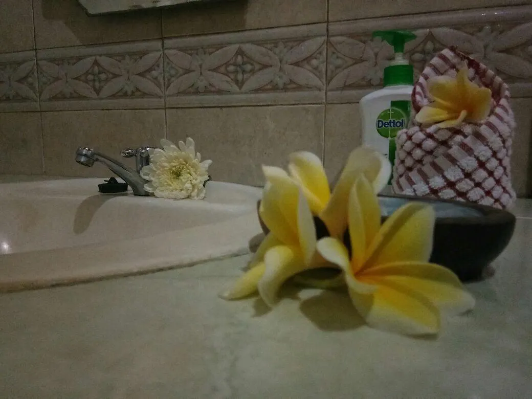 Mekar Suci Inn Ubud Indonesië